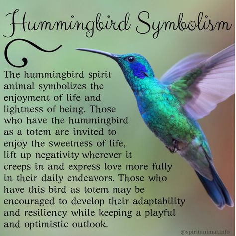 Hummingbird Meaning, Spirit Animal or Totem Bodypainting, Hummingbird Quotes, Hummingbird Meaning, Hummingbird Symbolism, Bird Meaning, Spirit Animal Meaning, Animal Meanings, Animal Spirit Guides, Hummingbird Art