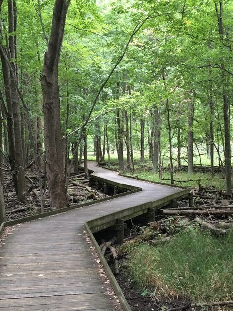 This trail is best explored in April - October, but it's beautiful year-round. The coastal environment here makes this one of the most unique hiking destinations in Ohio. Amigurumi Patterns, Day Trips In Ohio, Ohio Attractions, Ohio Hiking, Ohio Vacations, Hocking Hills State Park, Cuyahoga Valley National Park, Ohio Travel, Hiking Guide