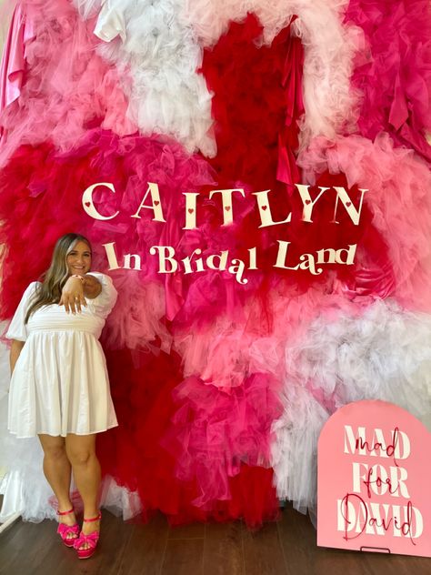 #bridalshowerideas #bridalshowerdecorations tulle wall backdrop Tulle Wall, Flower Bridal Shower Theme, Tulle Backdrop, Rental Decor, Selfie Wall, Bridal Shower Backdrop, Bridal Shower Flowers, Event Backdrop, Rental Decorating