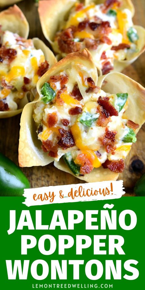 Jalapeno Wonton Wrapper Recipes, Wanton Cups Appetizers, Wonton Finger Foods, Blt Wonton Cups, App With Cream Cheese, Essen, Easy Appetizers For A Dinner Party, Wonton Cheeseburger Cups, Wonton Bats Recipe