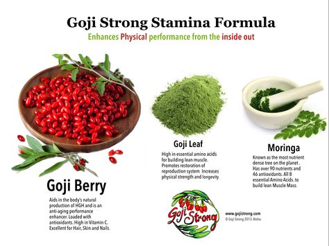 Our Foundation Formula Contains the Highest Content of Goji Berry and Goji Leaf. This Formula Started it All.   Straight from Goji Strong Farms in Epic Sonoma California. It was Goji Strong's First Formula and is Considered the Foundation Formula. Because of the Foundation of Health and Well Being it Creates in the Mind and Body.  This is why Goji Strong has Chosen to Utilize this Formula as the Base Foundation for All Goji Strong Formulas. Natural Hygiene, Sonoma California, Goji Berry, Herbs For Health, Body Care Routine, Healing Food, Goji Berries, Vintage Glamour, Amino Acids