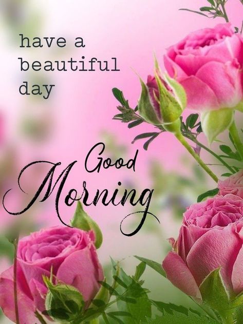 Latest Good Morning Images New Latest Good Morning Images, Good Morning Beautiful Flowers Nature, सुप्रभात संदेश, Good Morning Wishes Friends, Latest Good Morning Images, Lovely Good Morning Images, Good Morning Flowers Quotes, Good Morning Inspiration, Good Morning Nature