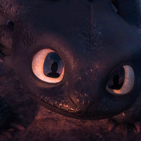 Toothless Aesthetic Icon, Httyd Icons Aesthetic, Httyd Pfp Aesthetic, Toothless Pfp Aesthetic, Dragons How To Train Your Dragon, Hiccup Aesthetic Httyd, Toothless Icons Aesthetic, Httyd Profile Pictures, Httyd Widget