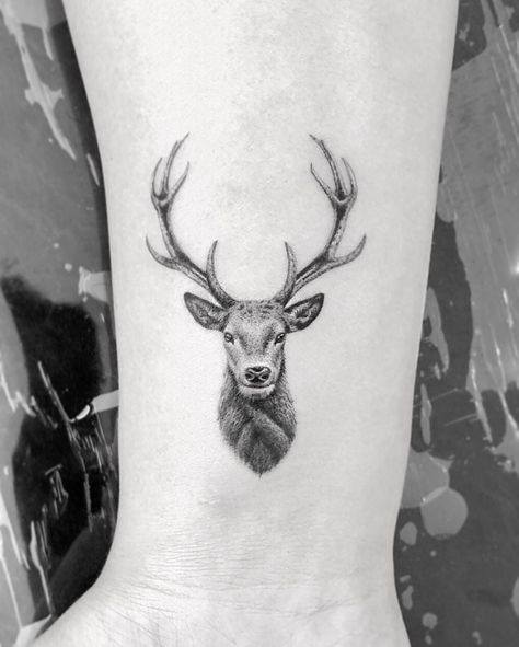 Tattoo Ideas, Tattoos, Deer, Hand Tattoos, Reindeer Tattoo, Tattoo Idea, I Tattoo, Animal Tattoo, Reindeer