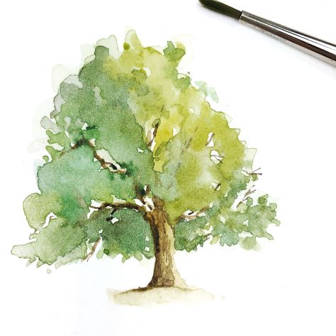 Tree Painting Easy, Tree Watercolor Painting, Watercolor Paintings For Beginners, Watercolor Tree, Architecture Art Design, Watercolor Paintings Easy, Oak Trees, Trendy Tree, Diy Watercolor