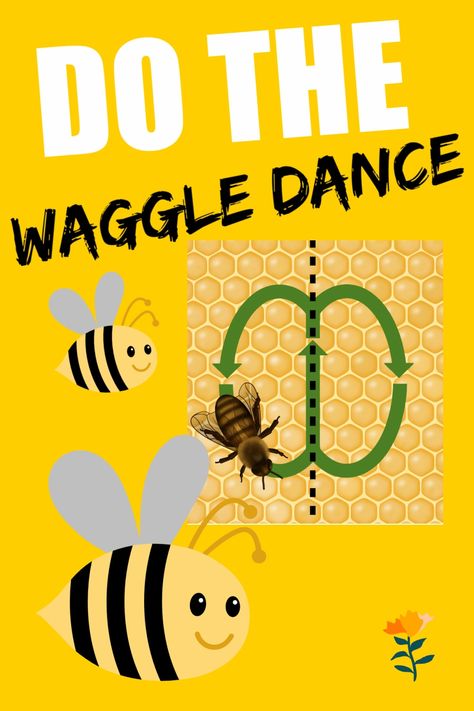 Nature, Waggle Dance Bee Game, Bee Activities For Preschoolers, Insect Habitats Preschool, Bee Dance Activity, Preschool Bees Theme, Bee Waggle Dance, Bee Songs Preschool, Bee Gross Motor Activities
