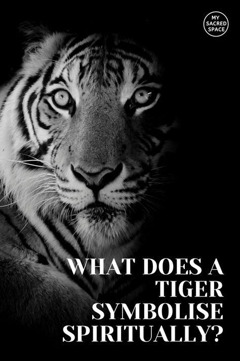 Tigers are brave, strong, and aggressive. But how does the spirit animal tiger affect your life? If you have found that a tiger is your spirit animal, then you must be curious to know how it can help you in life. #spiritanimal #spiritanimalmeaning #tigerspiritanimal #tigerspiritanimalmeaning #tigerspiritguide Tiger Meaning Spirit Animal, Spirit Animal Tiger Meaning, White Tiger Quotes, Tiger Meaning, Dream Symbolism, White Tiger Tattoo, Spirit Animal Quiz, Fear Tattoo, Tiger Spirit Animal