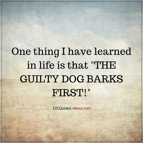 GUILT QUOTES ONE THING I HAVE LEARNED IN LIFE IS THAT THE GUILTY DOG BARKS FIRST - Quotes About Guilty Conscience, Guilty People Quotes, Guilty Conscience Quote People Truths, Barking Dogs Quotes, Guilty Conscience Quote, Conscience Quotes, Guilty Quotes, Bragging Quotes, Overcoming Guilt