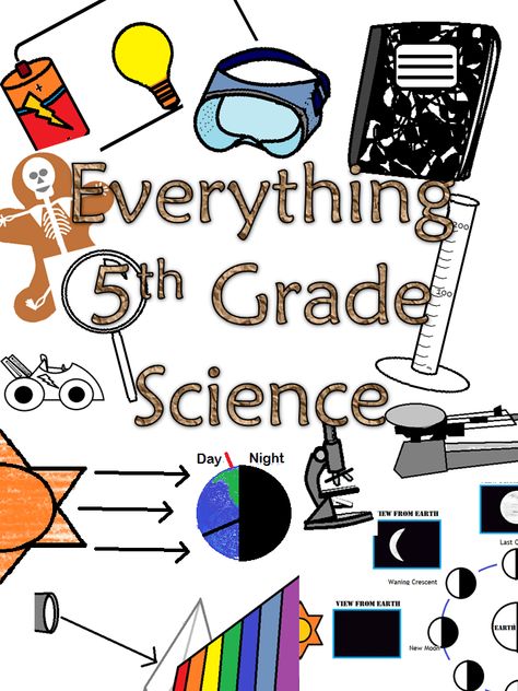 Science Charts For Classroom Grade 5, Fifth Grade Science Classroom, 5th Grade Science Classroom Setup, Science Classroom Theme, Science Anchor Charts 5th Grade, 5th Grade Science Classroom, 5th Grade Projects, 5th Grade Science Worksheets, 5th Grade Lesson Plans