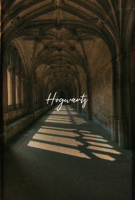 Dark Academia Aesthetic Wallpaper Iphone, Potential Wallpaper, Dark Academia Aesthetic Wallpaper, Harry Potter Dumbledore, Hp Aesthetic, Potter Head, Harry Potter Background, The Sorcerer's Stone, Hogwarts Aesthetic