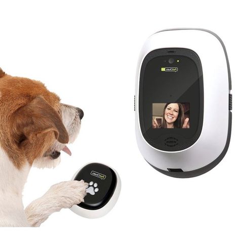 Pet Tech : Smart Dog Toys and Cat Gadgets Smart Dog Toys, New Puppy Checklist, Dog Accesories, Dog Gadgets, Pet Houses, Travel Dog, Puppy Snuggles, Colorful Hairstyles, Pet Hotel