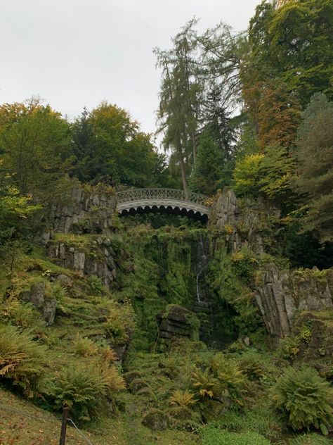 forest fall aesthetic fantasy bridge germany travel europe cottagecore Hill Aesthetic Green, Germany Forest Aesthetic, Fantasy Forest Village Aesthetic, Dnd City Aesthetic, Medieval Germany Aesthetic, Fantasy Traveler Aesthetic, World Building Aesthetic, Forest Town Aesthetic, Forest Kingdom Aesthetic