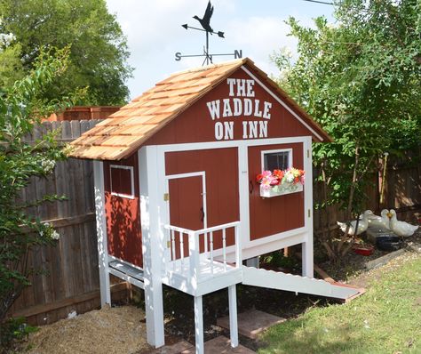 [​IMG] Diy Duck House, Duck Enclosure, Duck House Plans, Duck Pens, Backyard Ducks, Duck Coop, Chicken Barn, Portable Chicken Coop, Pet Ducks