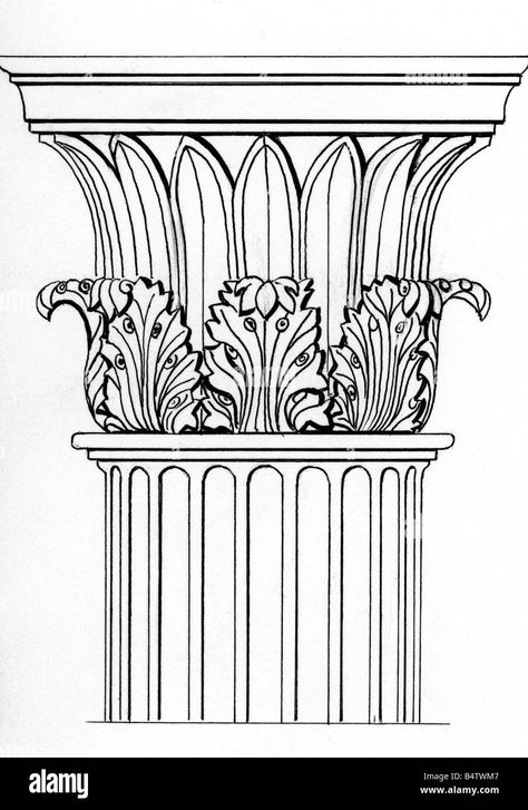 Corinthian Column Drawing, Column Drawing, Line Drawing Animal, Greece Drawing, Greek Drawing, Corinthian Order, Classic Facade, Greek Columns, Egyptian Design