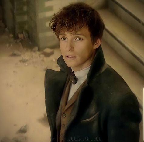 Newt Scamander icon Newt Scamander Icon, Newt Scamander Aesthetic, Newton Scamander, Kin List, Newt Scamander, Eddie Redmayne, Fantastic Beasts And Where, Comfort Characters, Fictional Crushes