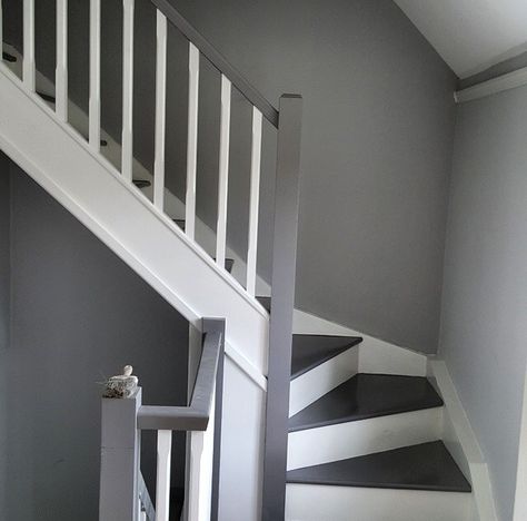 Decorating ideas Staircase Grey And White, White And Grey Staircase, Stair Colour Ideas, Grey And White Stairs, Grey And White Staircase, Gray Staircase, Grey Stairs, Painted Wood Stairs, Stairs Colours