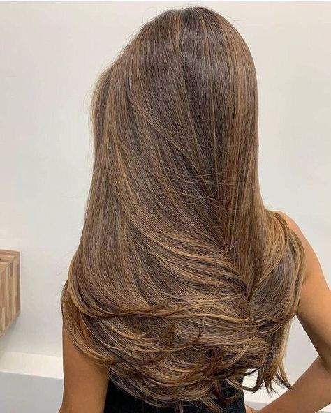 Rambut Brunette, Highlights For Dark Brown Hair, Brown Straight Hair, Golden Brown Hair, Brown Hair Looks, Brown Hair Inspo, Honey Brown Hair, Vlasové Trendy, Hair Color Caramel