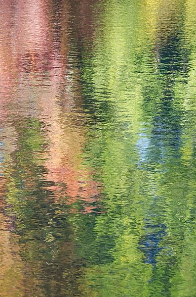 Nature Aesthetic Colorful, Colours In Nature, Nature Abstract Photography, Abstract Nature Photography, Crystals In Nature, Organic Images, Nature Abstract Painting, Nature Movement, Water In Nature