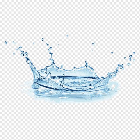 Water Png For Editing, Water Splash Png, Water Tattoos, Water Png, Coral Drawing, Water Graphic, Splash Png, Rooster Tattoo, Water Drop Logo