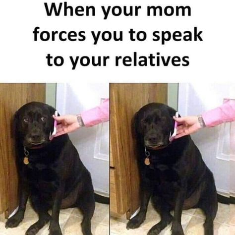 Relatable Meme, Memes Br, Funny Animal Jokes, Relatable Memes, Crazy Funny Memes, Cheer You Up, Some Funny Jokes, Funny Relatable Quotes, Funny Animal Memes