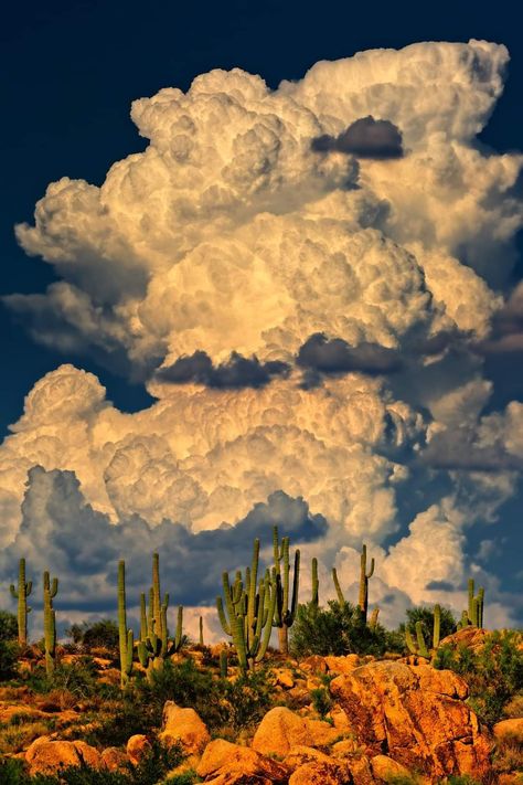 Monsoon Clouds, Waiting For Rain, Country Wallpaper, Desert Aesthetic, Wallpaper Aesthetics, Western Artwork, Bg Design, Western Landscape, Desert Life