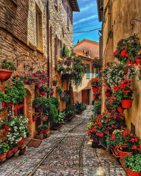 A lovely street in Spello, Italy. - 9GAG Italy Travel, Villefranche Sur Mer, Italy Aesthetic, Dream Travel Destinations, Alam Yang Indah, Beautiful Places To Travel, Pretty Places, Dream Destinations, Travel Aesthetic