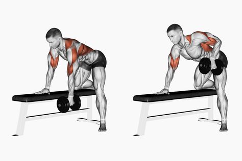 Dumbbell Lat Exercises Single Arm Row Rhomboid Exercises, Rear Delt Exercises, One Arm Dumbbell Row, Strong Physique, Dumbbell Row, Best Dumbbell Exercises, Archery Training, One Arm Row, Back And Bicep Workout