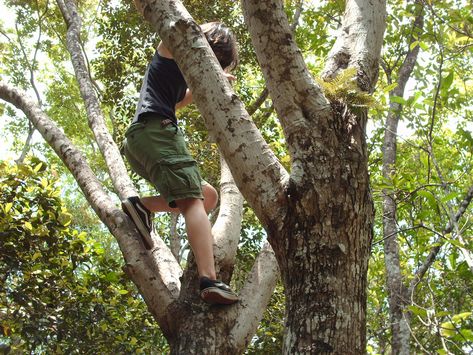 Person climbing tree Nature, Alex G Core Outfits, Treehouse Alex G Aesthetic, Alex G Aesthetic Summer, Alex G Summer Aesthetic, Midwest Emo Style, Alex G Core, Alex G Summer, Alex G Aesthetic