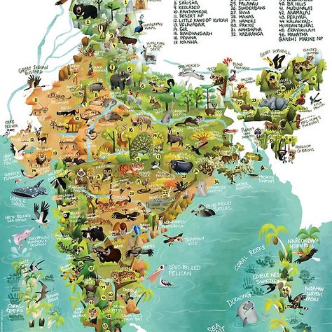 The Wildlife Map of India Nature, Types Of Elephants, India World Map, Indian Wildlife, Map Of India, Wildlife Of India, Indian Animals, Amazing India, India Map