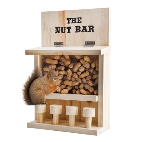 Squirrel Feeder Diy, Squirrel Feeders, Squirrel Feeder, Nut Bar, Farm Store, Porch Wall, Wait A Minute, Picnic Tables, Indoor Outdoor Planter