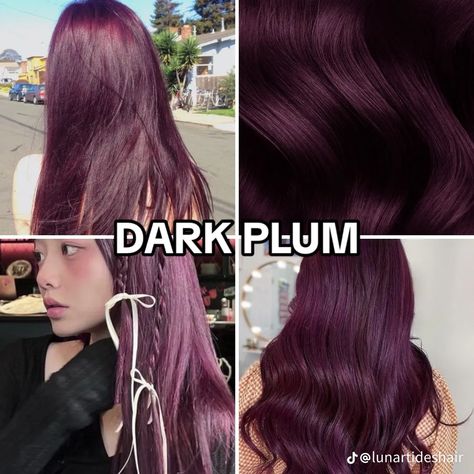 Plum Hair Makeup Ideas, Violet Hair Ideas, Deep Eggplant Hair Color, Ombre Cherry Red Hair, Grape Hair Color Dark Purple, Midnight Plum Hair Color, Dark Violet Highlights, Dark Fuschia Hair, Purple Hair No Bleach