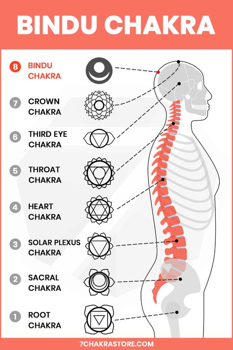 Tantra Symbols, Chakras In Body, Bindu Chakra, Chakra Symbols Tattoo, Chakras Symbols, 8th Chakra, Chakra For Beginners, Chakra Points, Chakra Locations