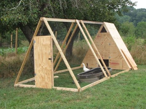 Do you want to build a duck house or coop for your new ducks? Here are 37 of the best free DIY duck house plans we've collected from all over the net. Diy Duck House, Duck Enclosure, Duck House Plans, A Frame Chicken Coop, Duck Pens, Backyard Ducks, Duck Coop, Chicken Barn, Portable Chicken Coop