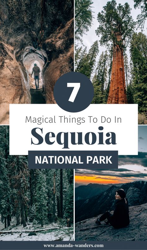Los Angeles, Las Vegas, Visiting Sequoia National Park, Things To Do In Sequoia National Park, Sequoia National Park Itinerary, Things To Do In Fresno Ca, Sequoia National Forest, Sequoia National Park Photography, National Parks California