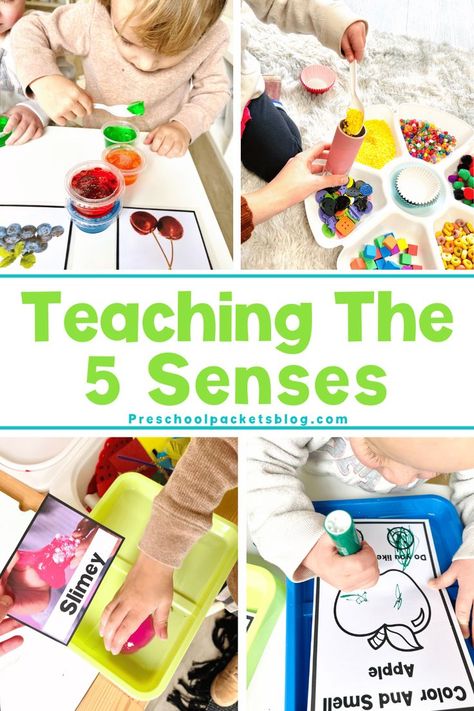 5 Senses Craft, My 5 Senses, 5 Senses Preschool, 5 Senses Activities, Teaching Preschoolers, Senses Preschool, The 5 Senses, Senses Activities, 5 Senses