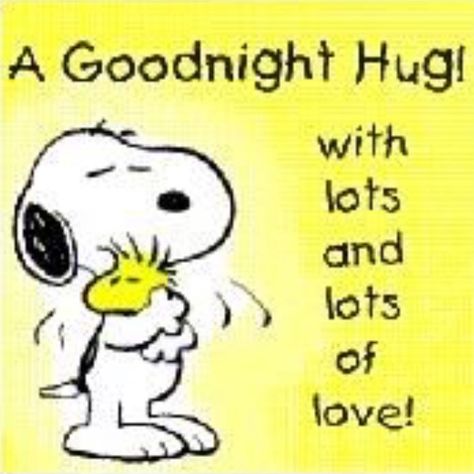 🌝💛 Good Night Hug, Charlie Brown Quotes, Funny Good Morning, Hug Quotes, Snoopy Funny, Slaap Lekker, Snoopy Pictures, Snoopy Quotes, Night Messages