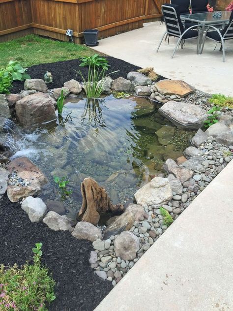 This Backyard Fish pond installation included an Aquascape Ecosystem 8′x11′ Pond with waterfall. The Pond was installed next to the pool for optimum enjoyment w… Kolam Koi, Fish Pond Gardens, Backyard Ponds, Taman Air, Taman Diy, Pelan Rumah, Garden Pond Design, Diy Pond, Pond Waterfall