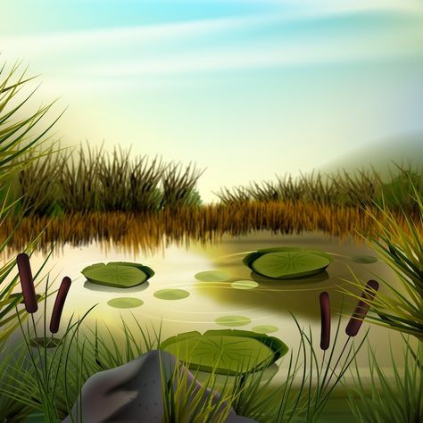 Free vector realistic world wetlands day... | Free Vector #Freepik #freevector Wetlands Illustration, Wetlands Drawing, Wetland Drawing, Wetland Diorama, World Wetlands Day, Animal Conservation, Day Illustration, Poster Drawing, Vector Photo