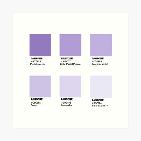 Lavender Pantone Palette, Soft Purple Palette, Lilac Hex Code, Lavender Color Meaning, Purple Pantone Palette, Purple Website Design Colour Palettes, White And Lavender Aesthetic, Light Purple Palette, Lilac Branding Color Palette