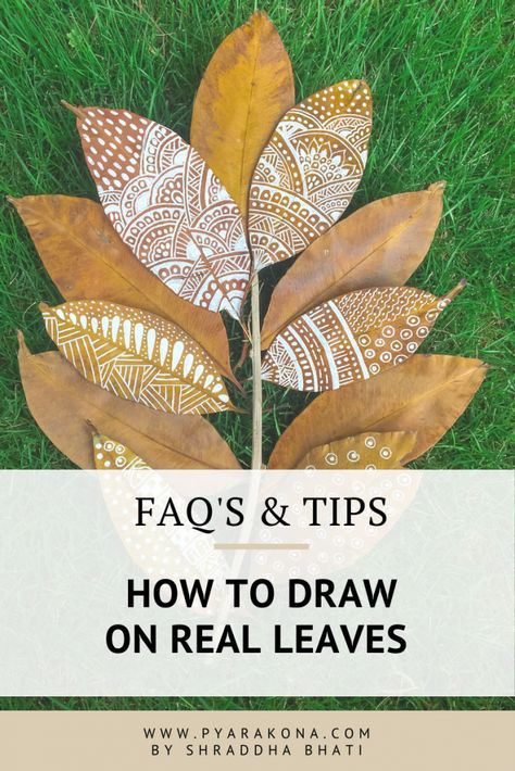 How To Paint On Leaves, Drawing On Leaves, Dried Leaves Crafts, Real Leaf Art, Leaf Art Diy, Dry Leaf Art, Leave Art, Leaf Projects, Framed Leaves