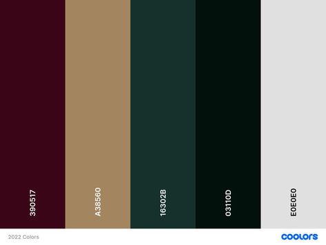 Dark Rich Color Palette, Academia Colour Palette, Rich Colour Palette, Dark Color Pallet, Dark Academia Aesthetic Color Palette, Color Palette Dark Academia, Dark Academia Palette, Funky Decorations, Dark Academia Colors