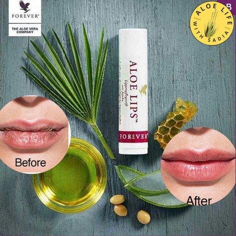 Forever Living Skin Care Products, Forever Avocado Soap Benefits, Forever Aloe Gel, Pin Terest, Forever Aloe Lips, Aloe Vera Gel Forever, Aloe Sunscreen, Aloe Lips, Sugar Defender