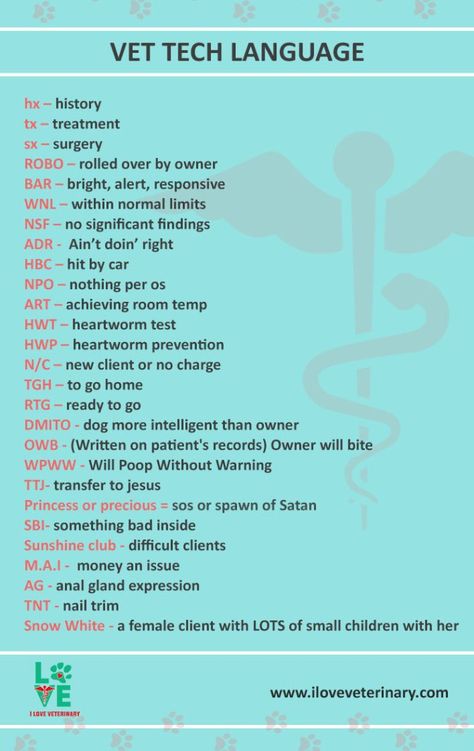 Vet Tech Language - abbreviations  infographic #VetTechLife Veterinarian School, Vet School Motivation, Vet Nursing, Veterinary Humor, Veterinary Nursing, Vet Tech Humor, Veterinarians Medicine, Veterinarian Technician, Vet Tech School