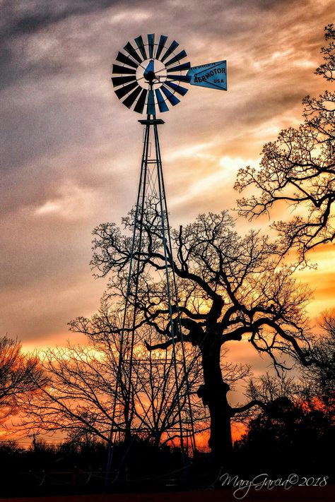 Sunset view, windmill at Bedford Old School. Bedford Tx. Old Barns, Farm Windmill, Windmill Water, Texas Sunset, Wind Mills, Old Windmills, Sky Sunset, Country Scenes, Sunset Views