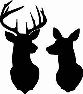 Doe Silhouette, Hirsch Silhouette, Høstaktiviteter For Barn, Deer Stencil, Deer Head Silhouette, Doe Deer, Buck And Doe, Buck Deer, Deer Silhouette