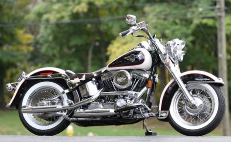 Cow Glide – 1993 Harley-Davidson Heritage Softail FLSTN | Bike-urious Softail Bobber, Harley Davidson Images, Softail Springer, Star Motorcycles, Motos Harley, Heritage Softail, Harley Davidson Model, Softail Custom, Softail Deluxe