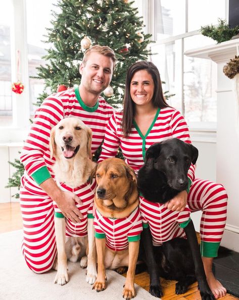 Matching Pajamas With Dog, Dog Christmas Pajamas, Matching Christmas Pajamas Couples, Matching Christmas Jammies, Striped Pjs, Matching Family Christmas Pjs, Holiday Photos Outfits, Holiday Jumpsuit, Dog Pjs