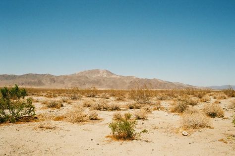 Nature, Desert California Aesthetic, Mojave Aesthetic, Mojave Desert Aesthetic, Retro Desert Aesthetic, California Living Aesthetic, California Desert Aesthetic, The Desert Aesthetic, Landscapes Reference