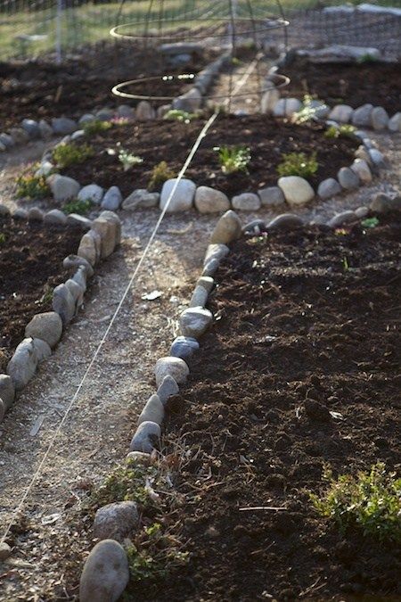 Vegetable Garden Design, Stone Pathways, Potager Garden, Permaculture Gardening, Garden Design Layout, Veg Garden, Garden Layout, Garden Cottage, Veggie Garden