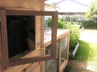 Ventilation In Your Chicken Coop - Why Is It Important & How To Provide It Chicken Coop Ventilation, Coop Ventilation, Diy Chicken Toys, Chicken Home, Egg Quality, Types Of Chickens, Chicken Tractor, Chicken Health, Best Chicken Coop